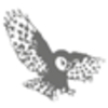 Strix Group Plc logo