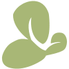 Orchid Island Capital Inc. logo