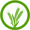 Teucrium Wheat logo