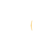 Blacksky Technology Inc logo