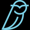 Blue Owl Capital Inc logo